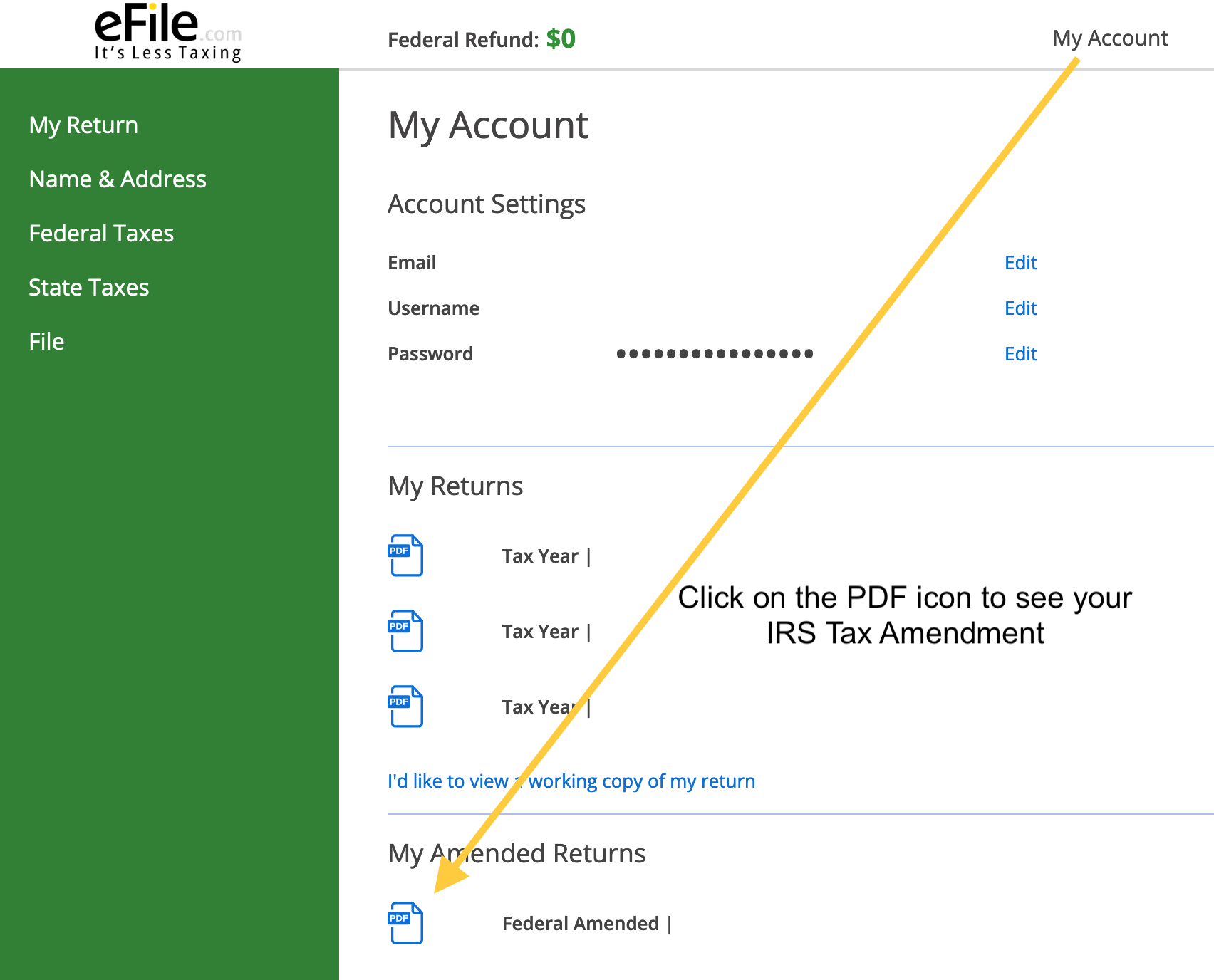 eFile Tax Amendment