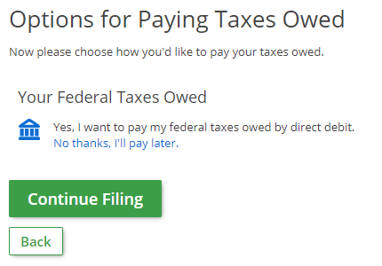 Options For Paying Taxes Owed