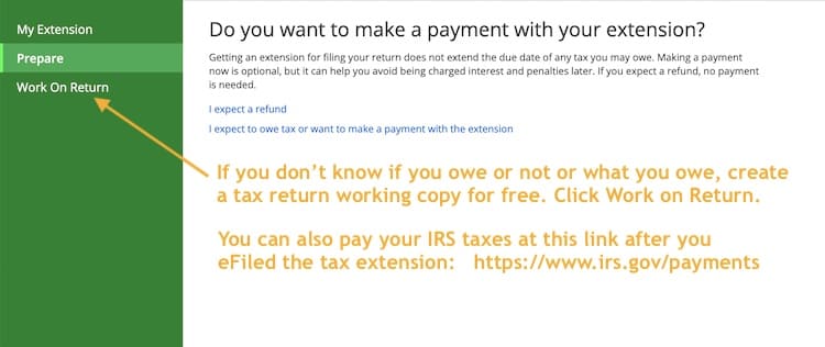 IRS Extension