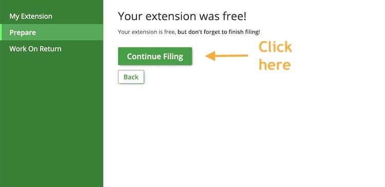 IRS Extension