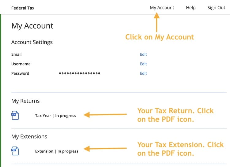 IRS Extension