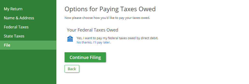 what are federal back taxes