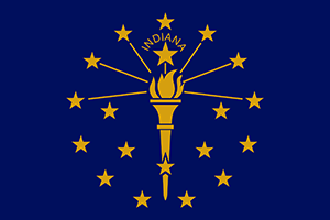state flag in