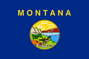 efile Montana tax return