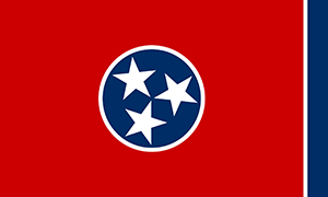 amend Tennessee taxes