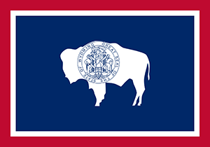efile Wyoming tax return