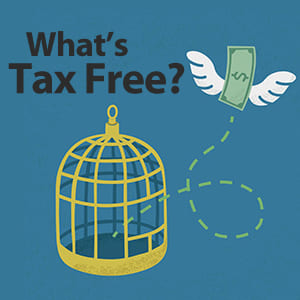 What Types of Income Are Tax Free? Examples and Explanations