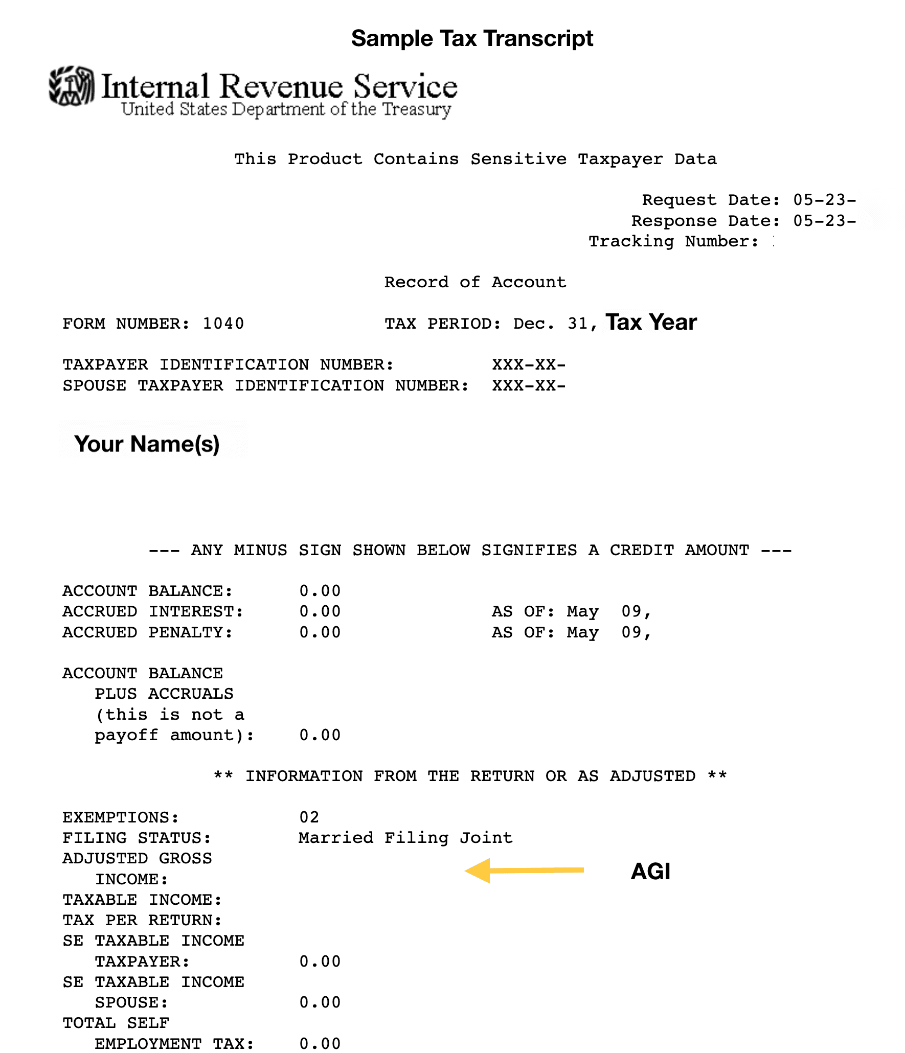 Tax Return Transcript